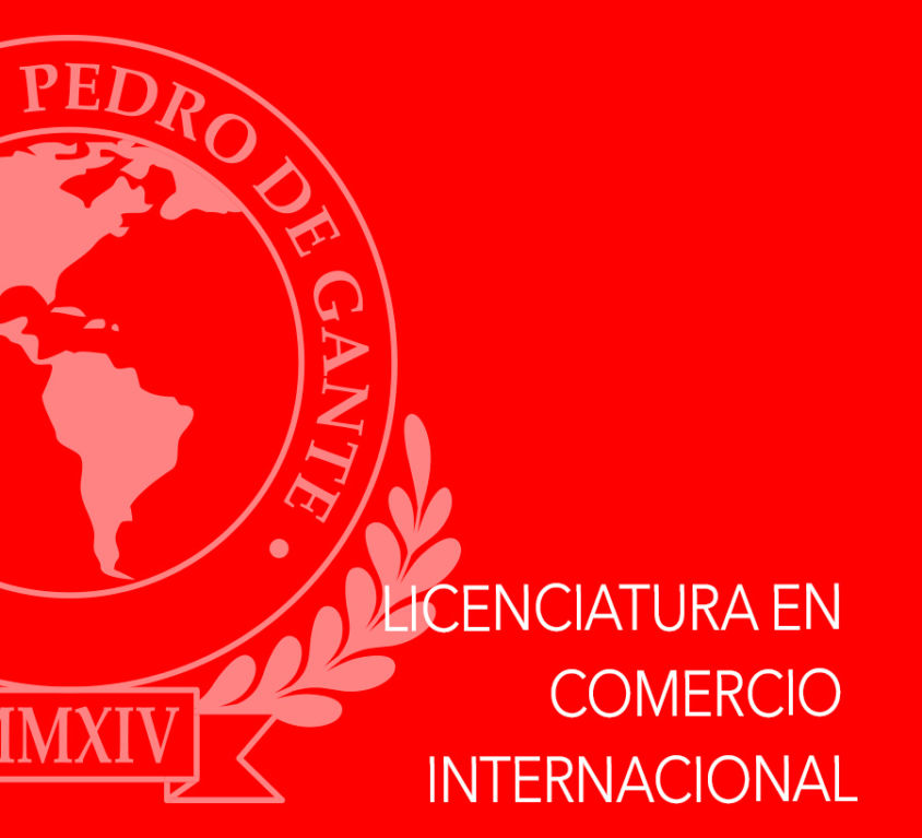 Licenciado en Comercio Internacional