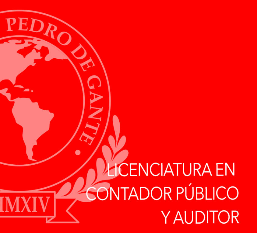 Licenciado en Contador Público y Auditor