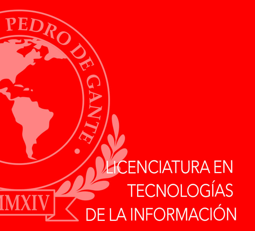Licenciado en Tecnologías de la Información